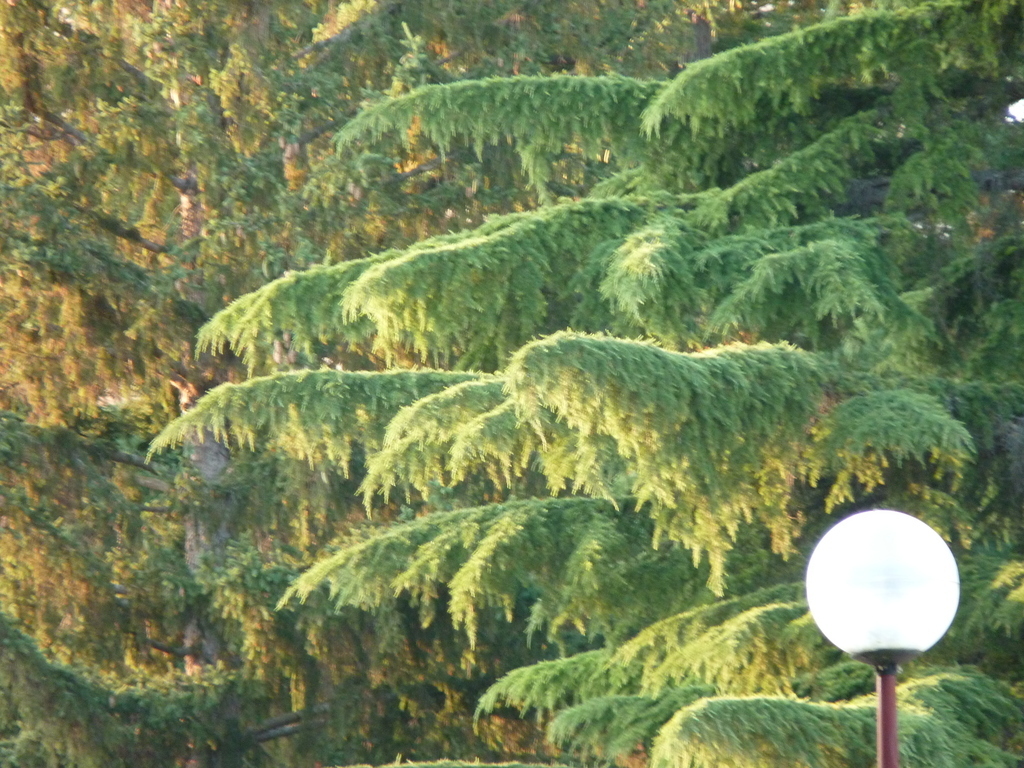 No s'ha trobat l'arxiu